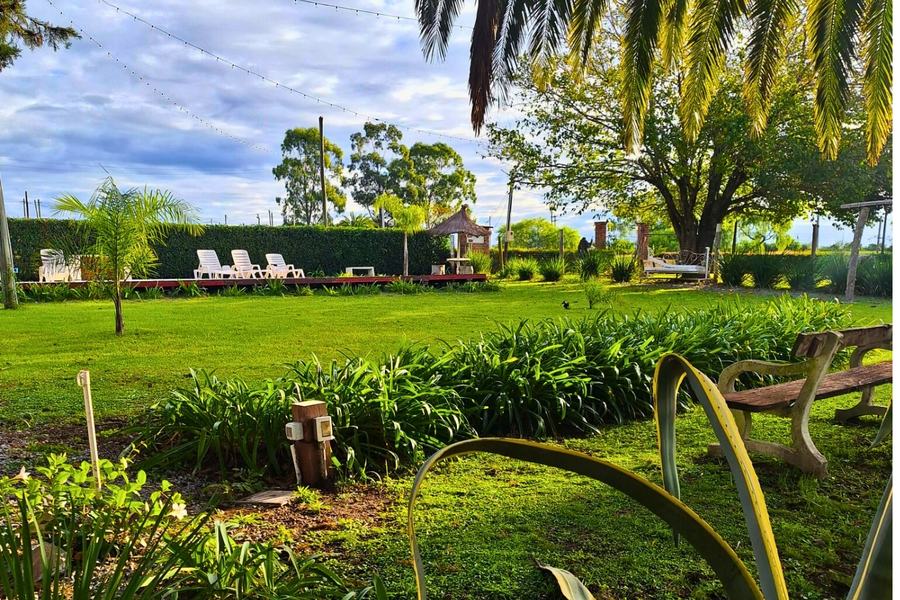 Parque con palmeras, reposeras y bancos de madera