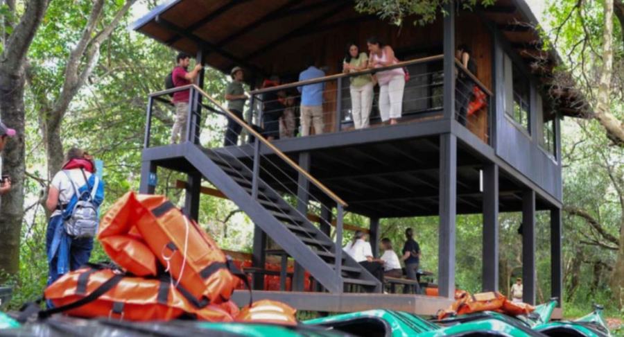 Visitantes en un mirador de madera entre árboles