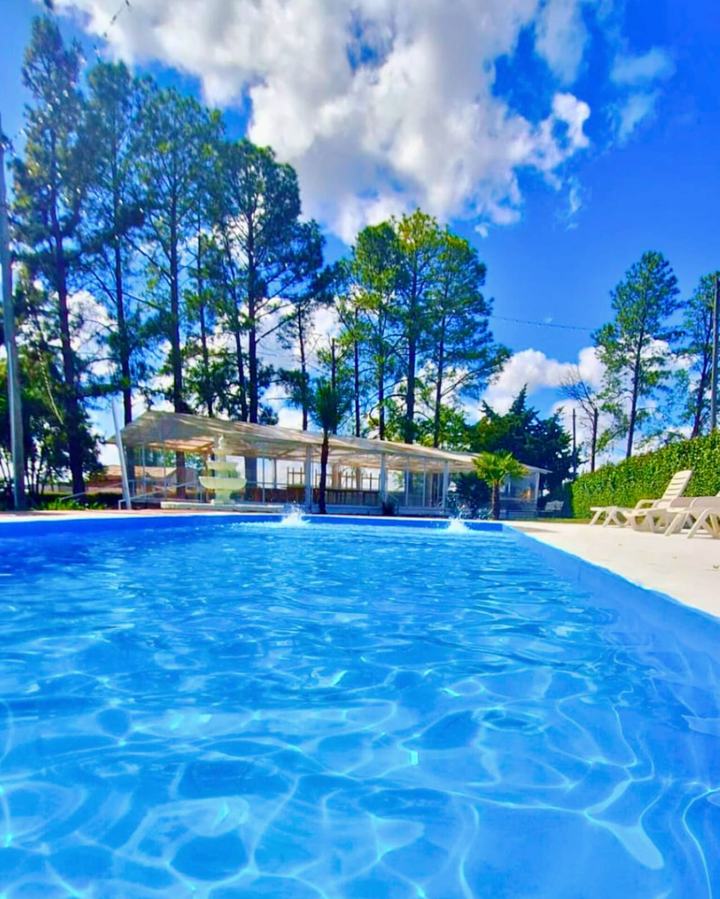 Piscina rodeada de pinos altos