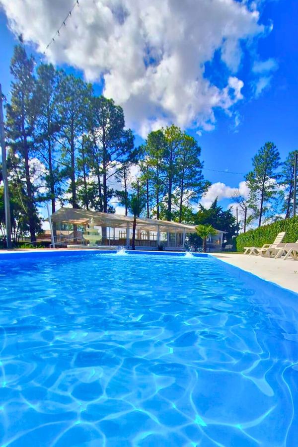 Piscina al aire libre bajo cielo azul, rodeada de pinos